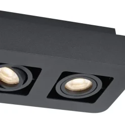 Abgerundeter Aufbaustrahler schwarz 2-flammig dreh- und schwenkbar - Dox