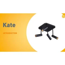 Abgerundeter Deckenstrahler schwarz GU10 35mm 4-flammig dreh- und schwenkbar - Kate