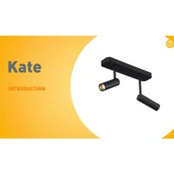 Abgerundeter Deckenstrahler schwarz GU10 35mm 2-flammig dreh- und schwenkbar - Kate