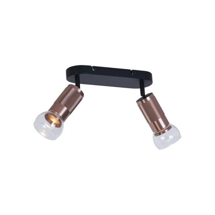 Abgerundeter Deckenstrahler Dunkelbronze 2-flammig Verstellbar - Veerle