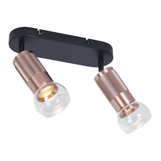 Abgerundeter Deckenstrahler Dunkelbronze 2-flammig Verstellbar - Veerle