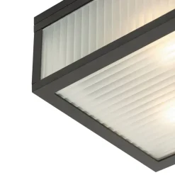Außendeckenleuchte schwarz mit geripptem Glas 2-flammig IP44 - Charlois
