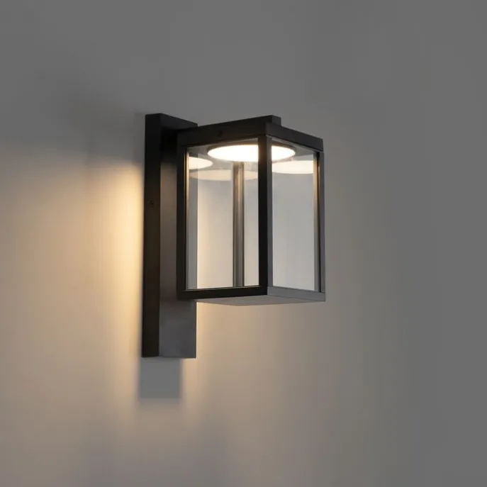 Außenwandlaterne schwarz inkl. LED IP54 - Ferdinand