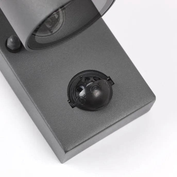 Außenwandleuchte Anthrazit IP44 mit Bewegungssensor - Solo