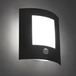 Außenwandleuchte Anthrazit mit Bewegungssensor IP44 - Emmerald 1