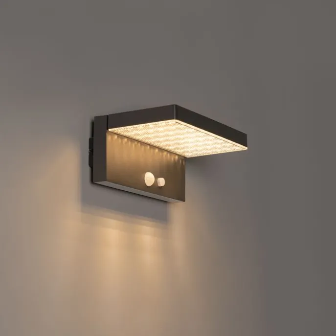 Außenwandleuchte dunkelgrau inkl. LED und Solar - Sunnie