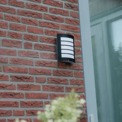 Außenwandleuchte schwarz IP44 mit Hell-Dunkel-Sensor - Miro