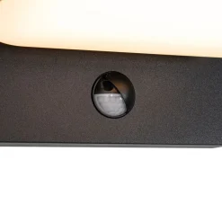 Außenwandleuchte schwarz inkl. LED verstellbar mit Bewegungssensor - Kamile