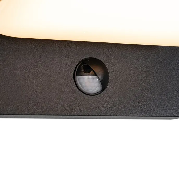 Außenwandleuchte schwarz inkl. LED verstellbar mit Bewegungssensor - Kamile