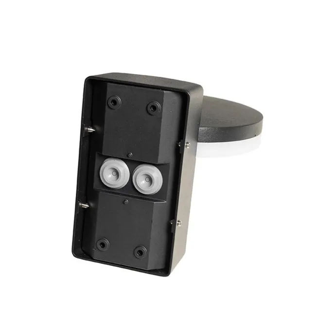 Außenwandleuchte schwarz inkl. LED IP54 Bewegungssensor - Esmee