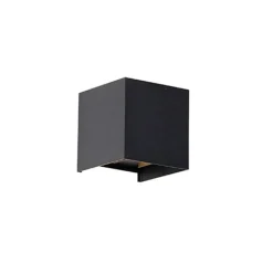 Außenwandleuchte schwarz inkl. LED 2-flammig IP54 - Edwin