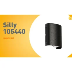 Außenwandleuchte schwarz inkl. LED 2-flammig IP54 - Silly