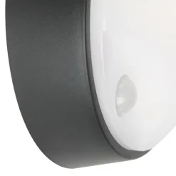 Außenwandleuchte schwarz inkl. LED mit Bewegungsmelder IP54 - Hortus