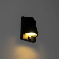 Außenwandleuchte schwarz IP44 mit Bewegungsmelder - Femke