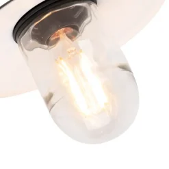 Außenwandleuchte schwarz mit Glas IP44 - München