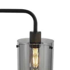 Design Stehlampe Schwarz mit Rauchglas - Domo