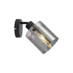 Design Wandstrahler schwarz mit Rauchglas - Domo