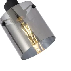 Design Wandstrahler schwarz mit Rauchglas - Domo