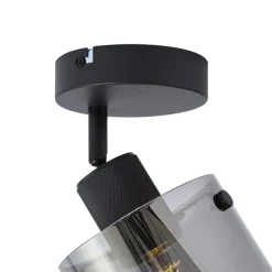 Design Wandstrahler schwarz mit Rauchglas - Domo