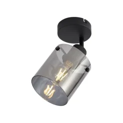 Design Wandstrahler schwarz mit Rauchglas - Domo