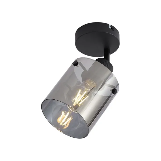 Design Wandstrahler schwarz mit Rauchglas - Domo