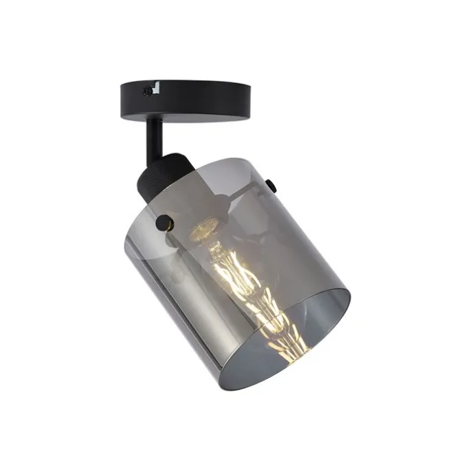 Design Wandstrahler schwarz mit Rauchglas - Domo