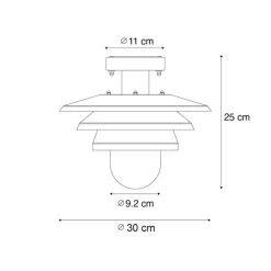 Design-Außen-Deckenleuchte schwarz IP44 - Morty