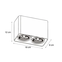 Design-Aufbaustrahler schwarz GU10 70mm 2-flammig dreh- und schwenkbar - Vox