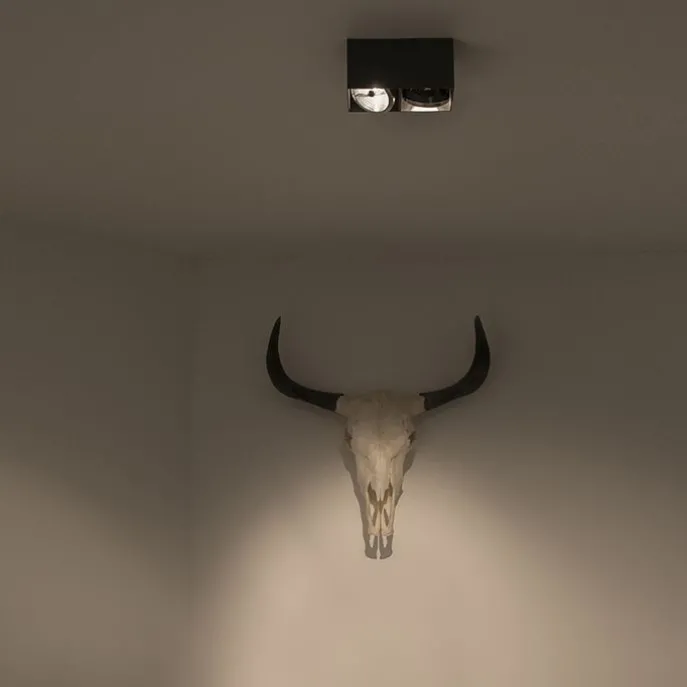 Designspot rechteckig 2-flammig schwarz inkl. 2 x G9 - Box