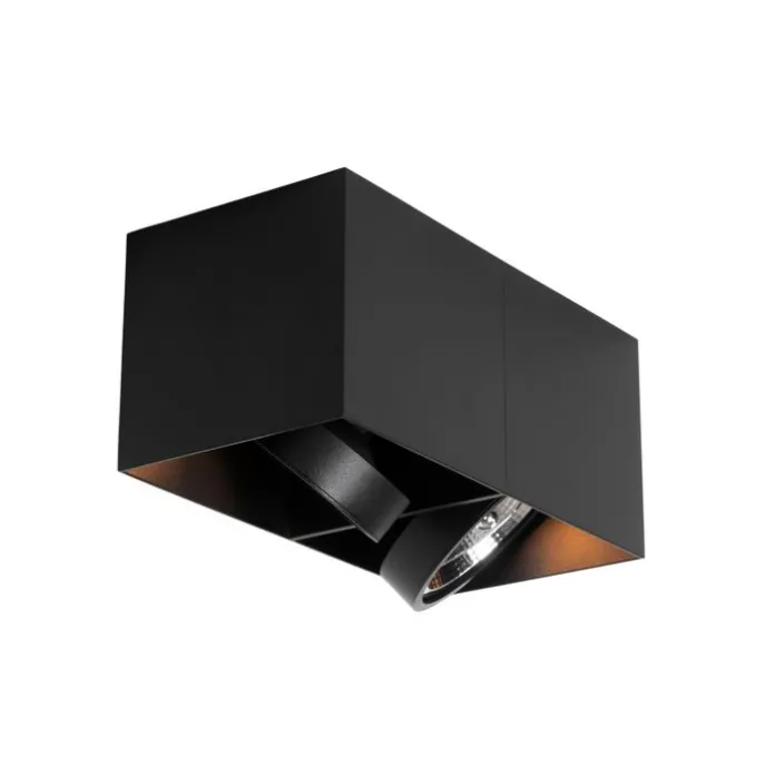 Design-Spot schwarz rechteckig AR111 2-flammig - Box
