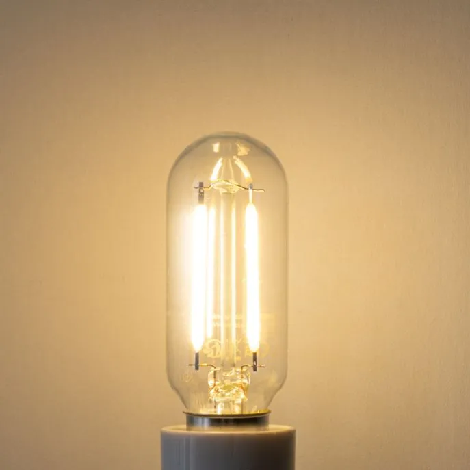 E14 Dimmbare LED-Glühbirne T26 Kühlschrank 2W 200 lm 2700K