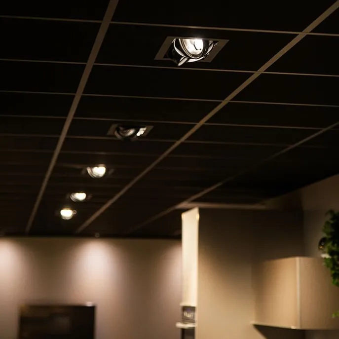 Einbaustrahler schwarz AR111 verstellbar 2-flammig - Oneon