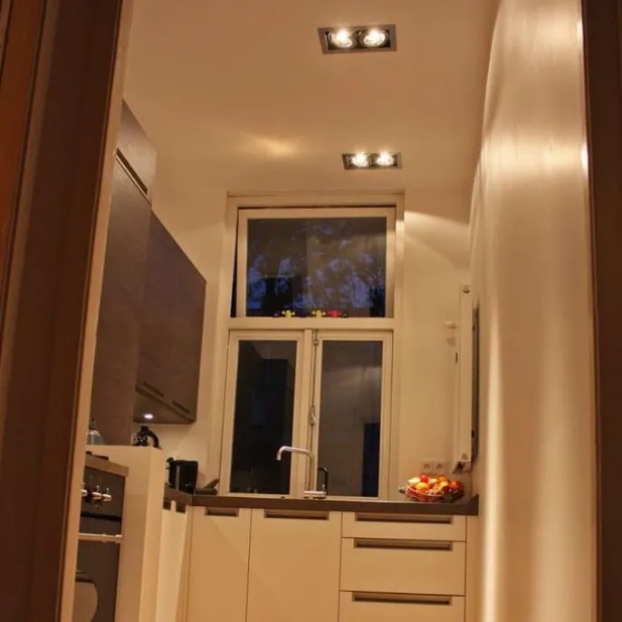 Einbaustrahler Stahl AR111 Verstellbar 2-Lichter - Oneon