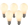5er Set E27 LED Glühlampen Opalglas 3W 250 lm 2200K