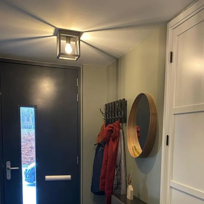 Industrielle Deckenleuchte Schwarz Stahl - Cage