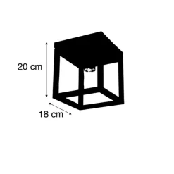 Industrielle Deckenleuchte Schwarz Stahl - Cage