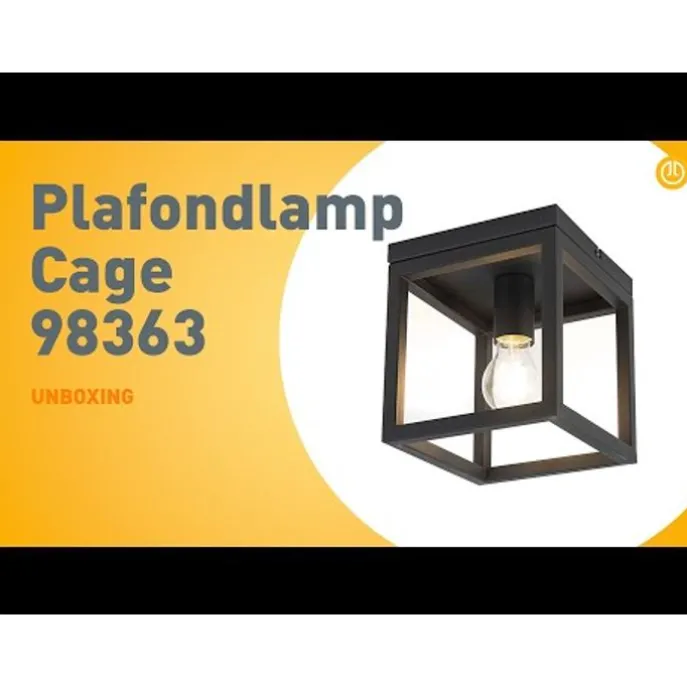 Industrielle Deckenleuchte Schwarz Stahl - Cage