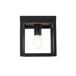 Industrielle Deckenleuchte Schwarz Stahl - Cage