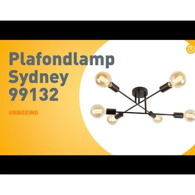 Industrielle Deckenleuchte schwarz 6 Lichter - Sydney