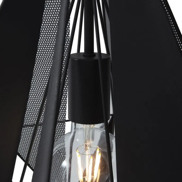 Industrielle Hängelampe schwarz mit Netz - Karkasse