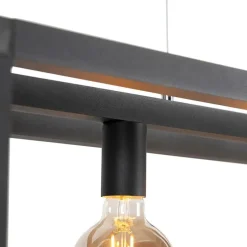 Industrielle Pendelleuchte schwarz 4 Lampen - Big Cage 2