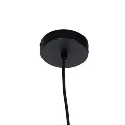 Industrielle Pendelleuchte schwarz inkl. dimmbarer G220 LED - Facil