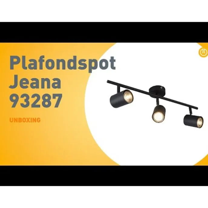 Industriestrahler schwarz kippbar - Jeana 3