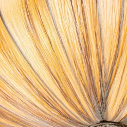 Japandi Deckenleuchte Beige 60cm 5-flammig - Plu