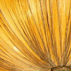 Japandi Deckenleuchte Gold 60cm 5-flammig - Plu