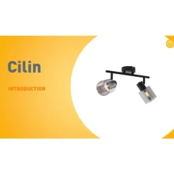 Moderne Deckenleuchte Schwarz mit runden Rauchglas 2-flammig - Cilin