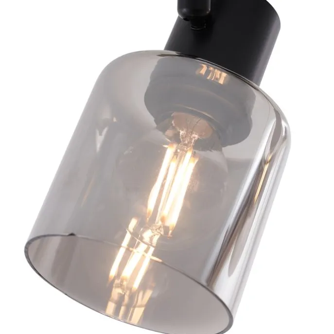 Moderne Deckenleuchte Schwarz mit runden Rauchglas 2-flammig - Cilin