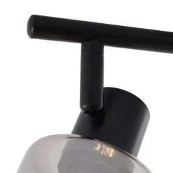 Moderne Deckenleuchte Schwarz mit runden Rauchglas 2-flammig - Cilin