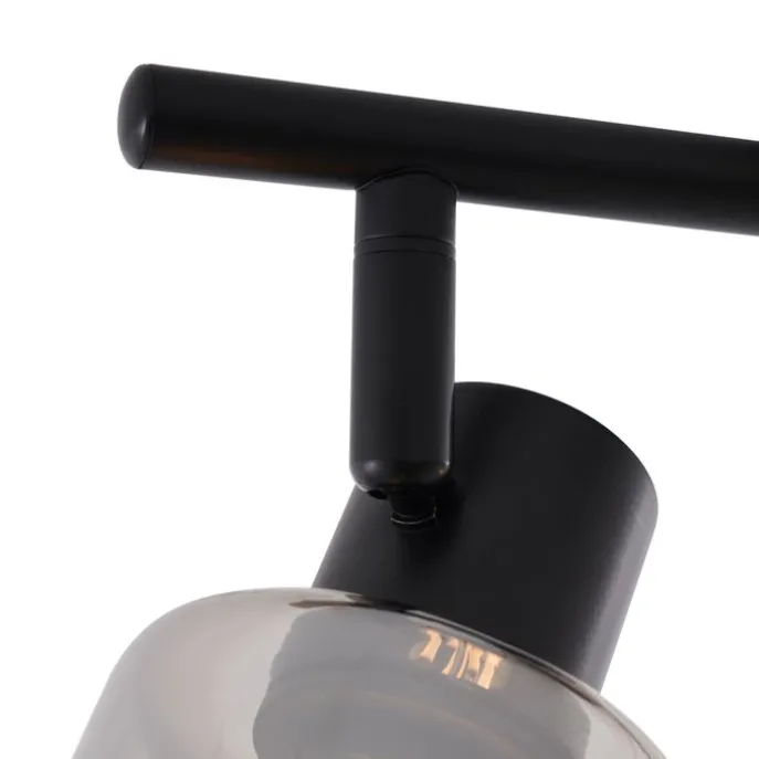 Moderne Deckenleuchte Schwarz mit runden Rauchglas 2-flammig - Cilin