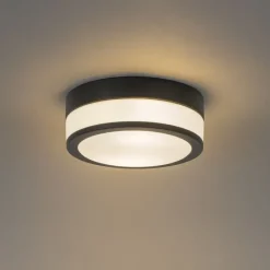 Moderne Deckenleuchte schwarz 23 cm IP44 - Flavi